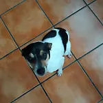Ξενοδοχείο Mendi Alai