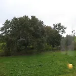 Mendi Alai 3*