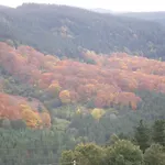 Mendi Alai