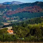 Mendi Alai