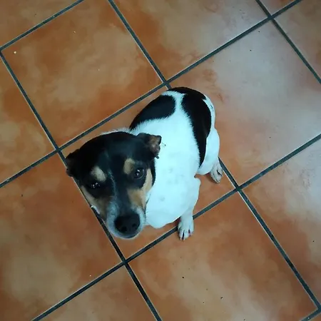 ホテル Mendi Alai