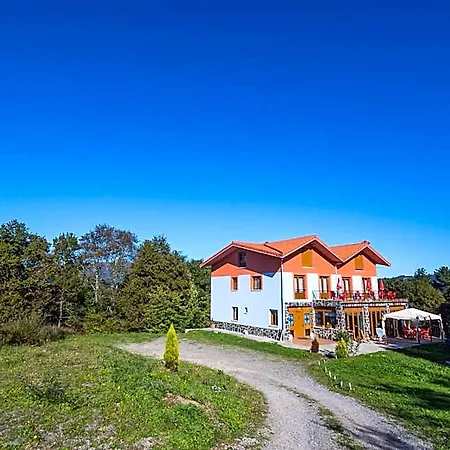 Mendi Alai Carranza